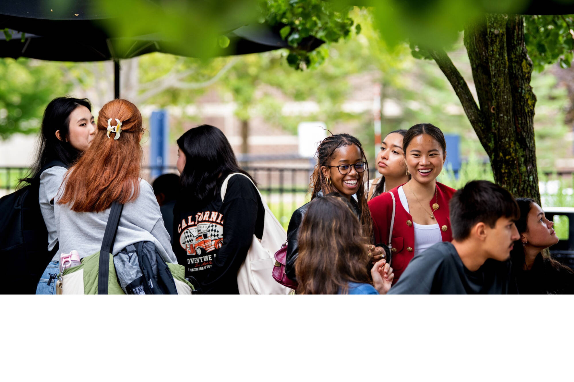 multiple students talking under trees on campus